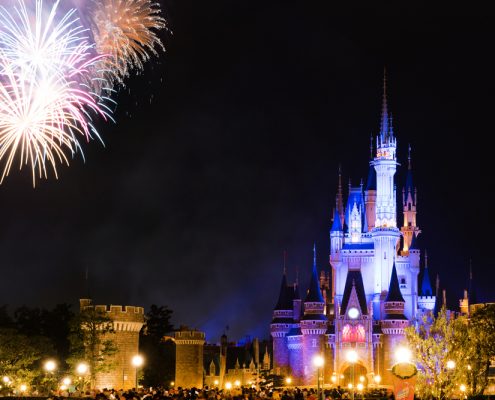 A high touch customer experience in customer fulfillment is like a trip to Disney!